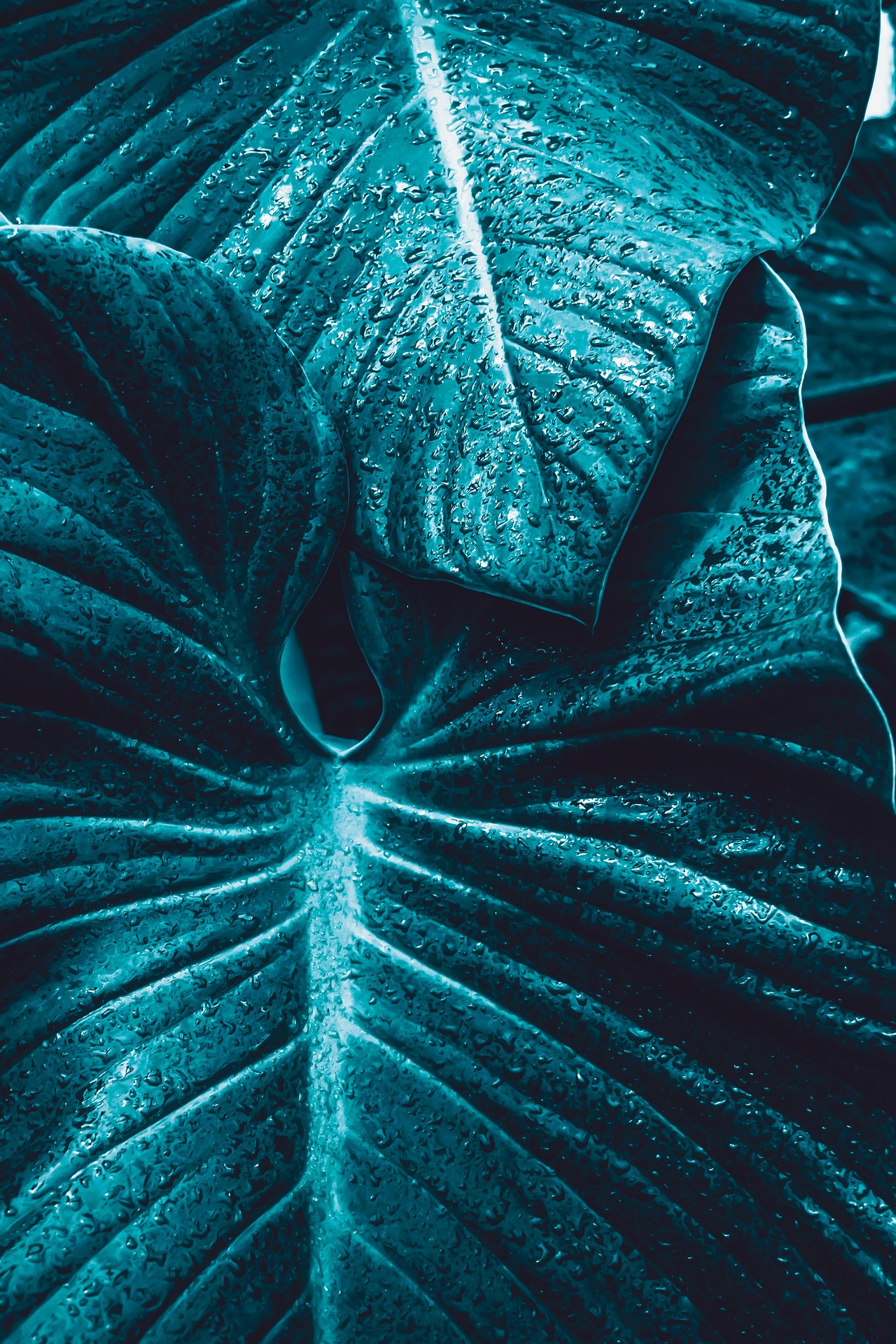 Sytuacje kryzysowe i doświadczenia traumy